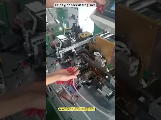 Automatic Double head Dip Tin Machine2