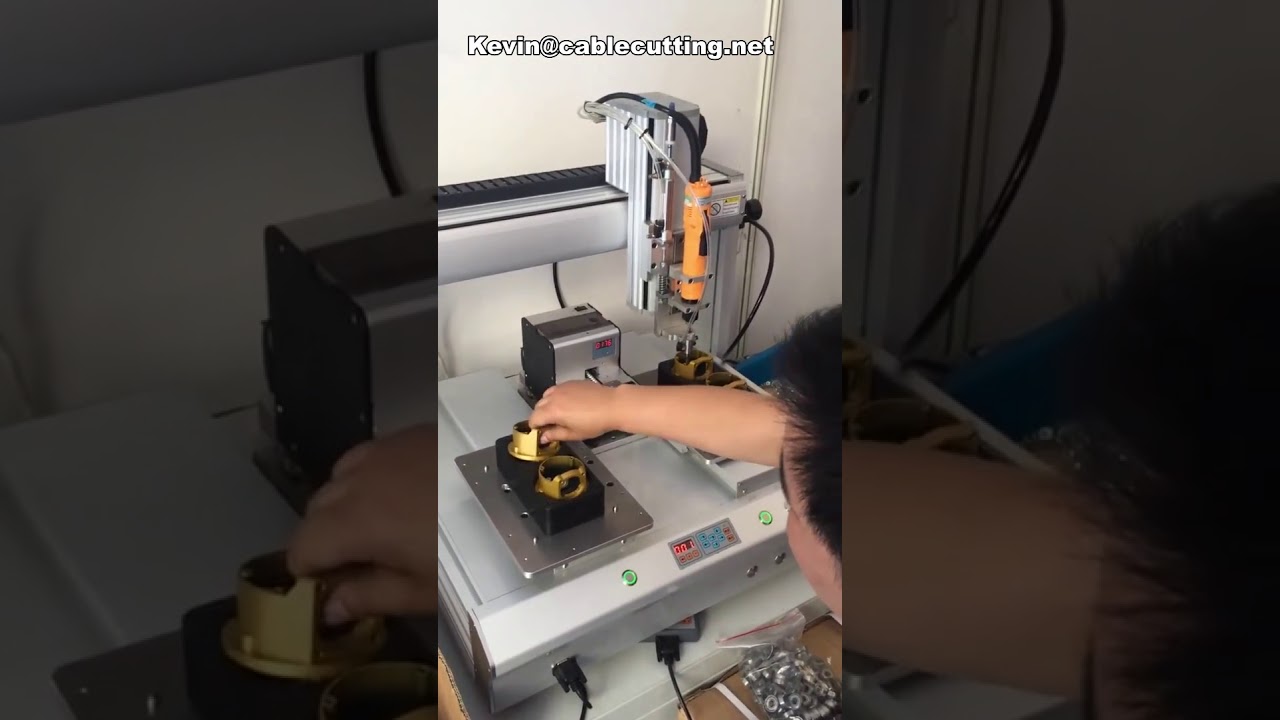 Automatisk skruvdragningsrobot med dubbla plattformar och 4 axlar för precisionsmontering